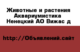 Животные и растения Аквариумистика. Ненецкий АО,Вижас д.